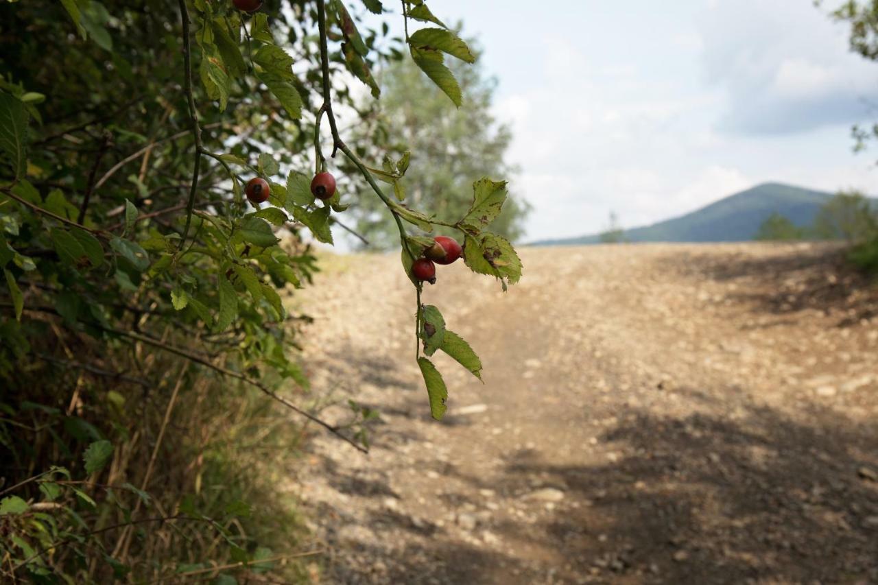 Ostoja Villa Rzyki Dış mekan fotoğraf